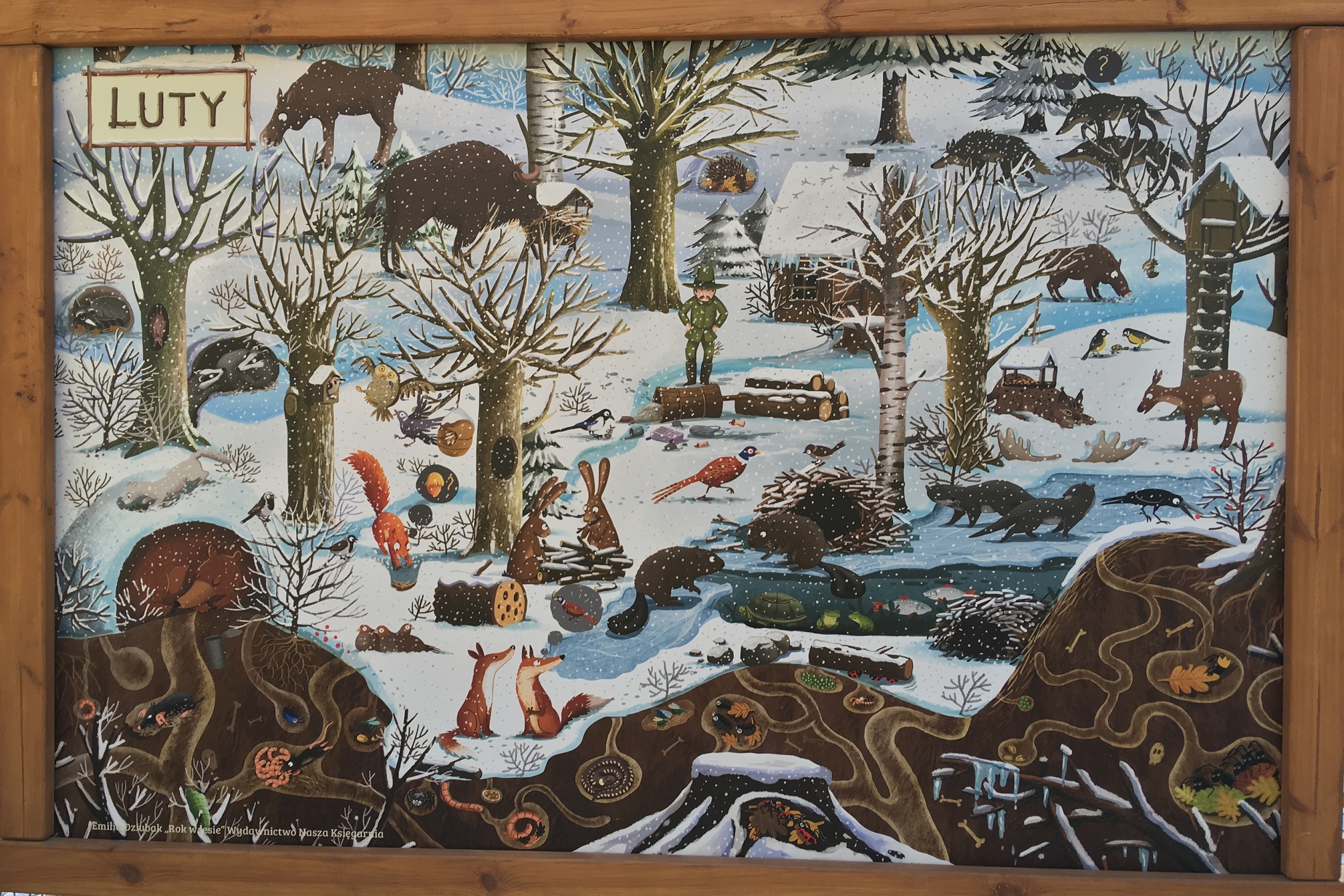 leśna ścieżka w pomiechówku