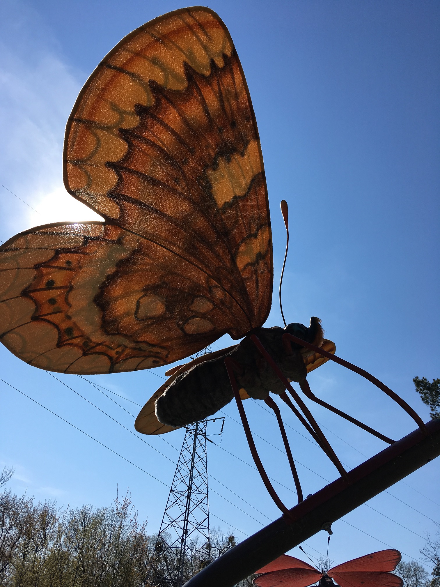 lesna sciezka w pomiechowku