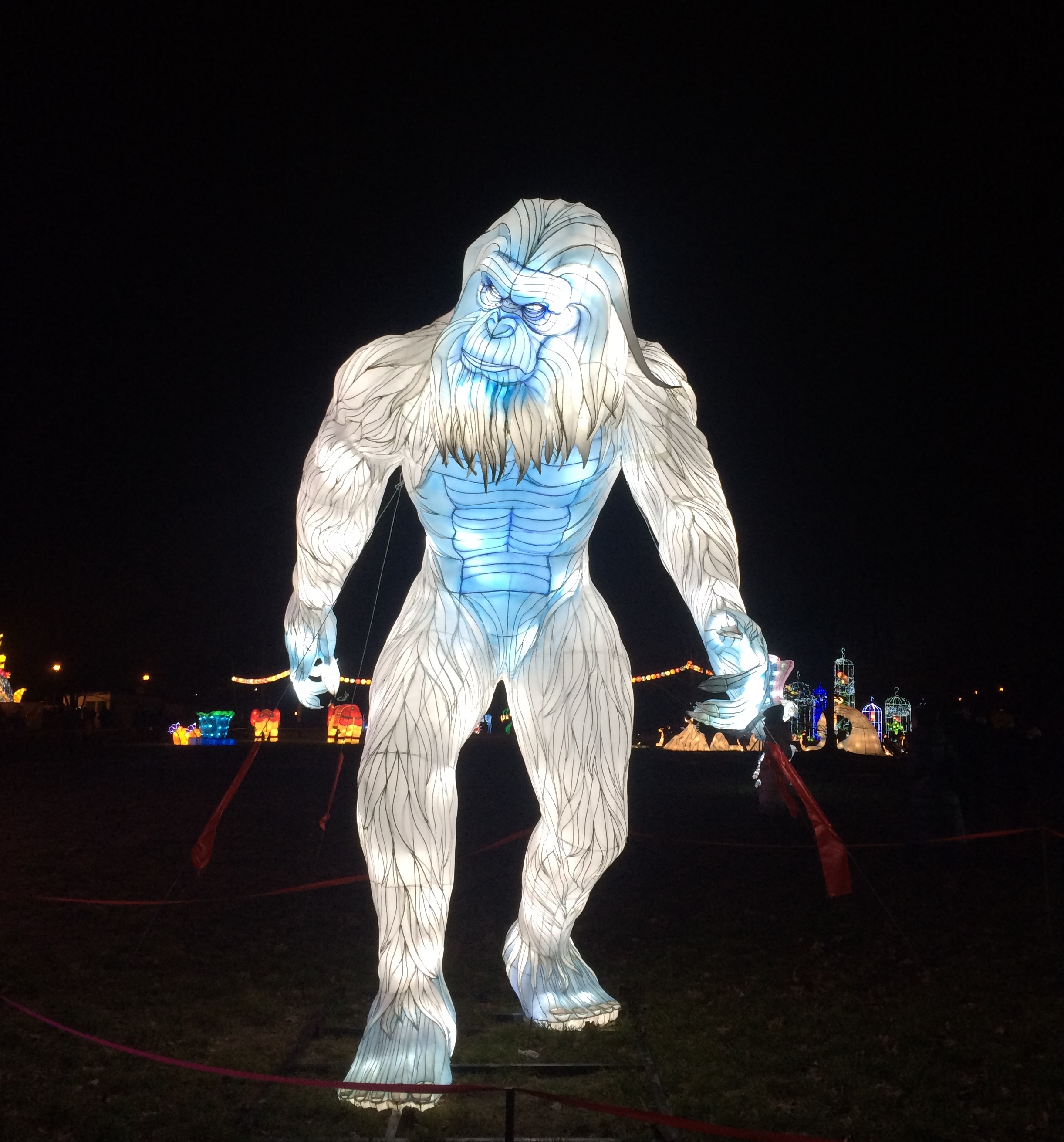 chiński festiwal światła