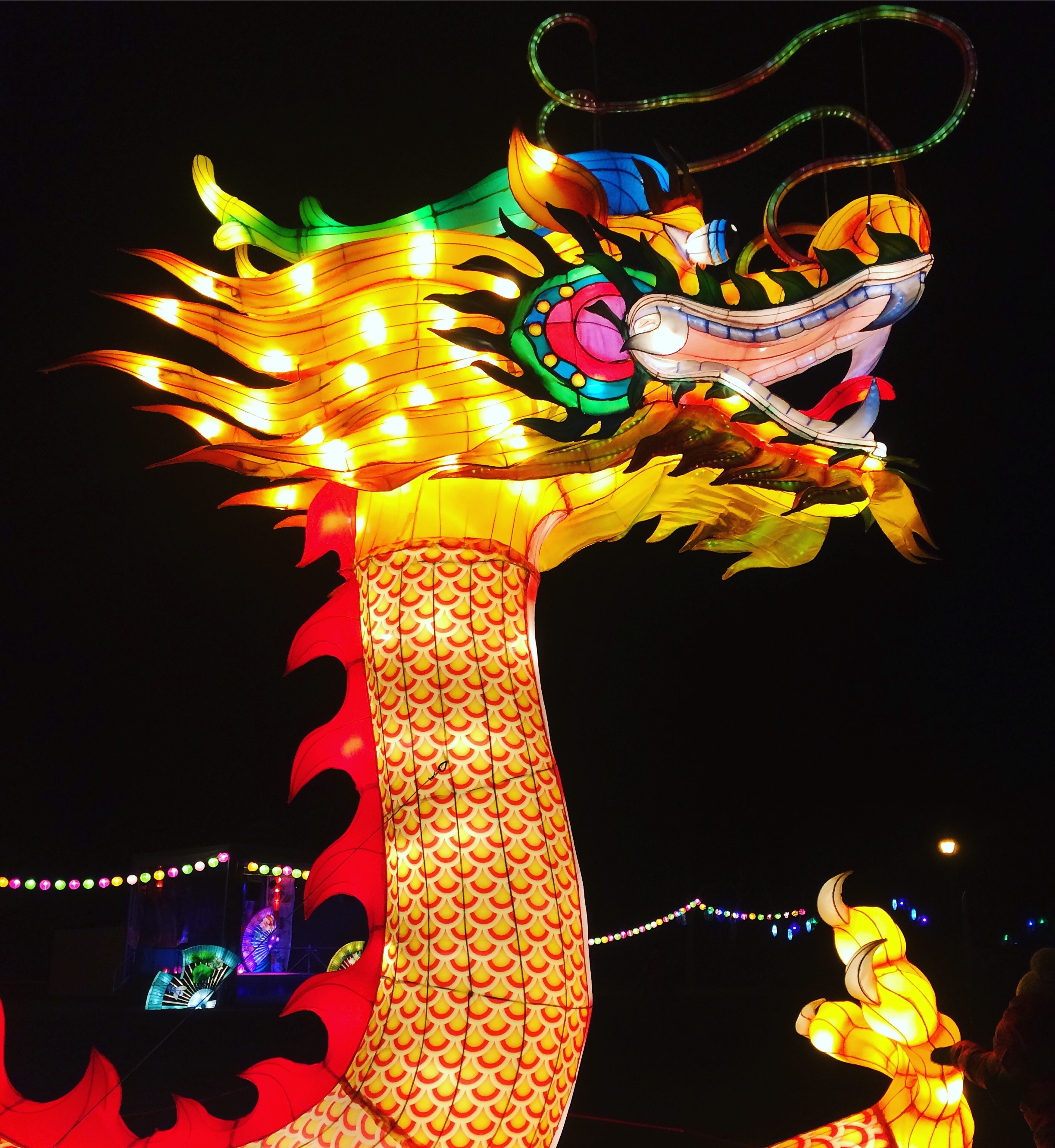 chiński festiwal światła