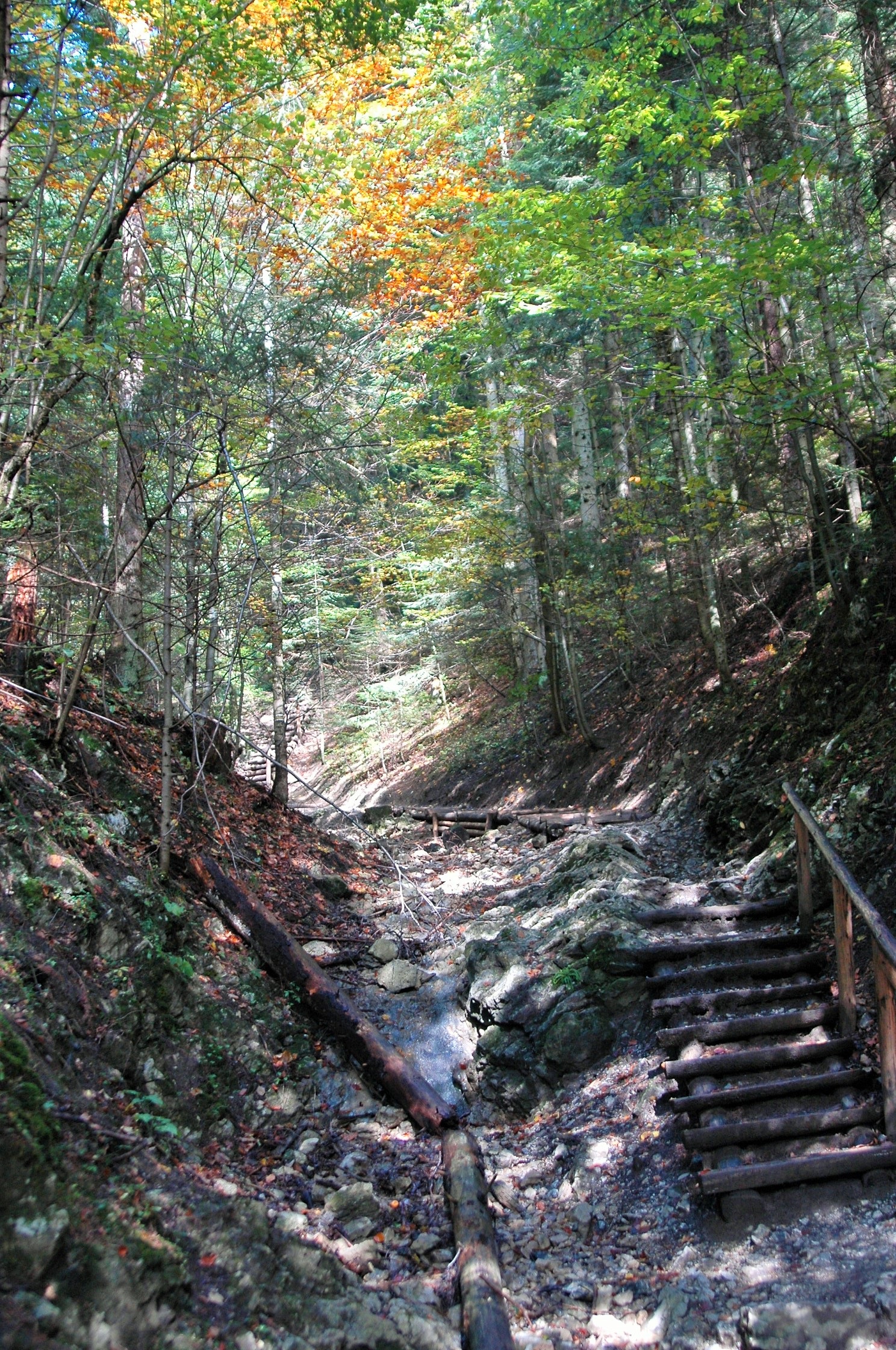 pieniny z dziecmi jesienia