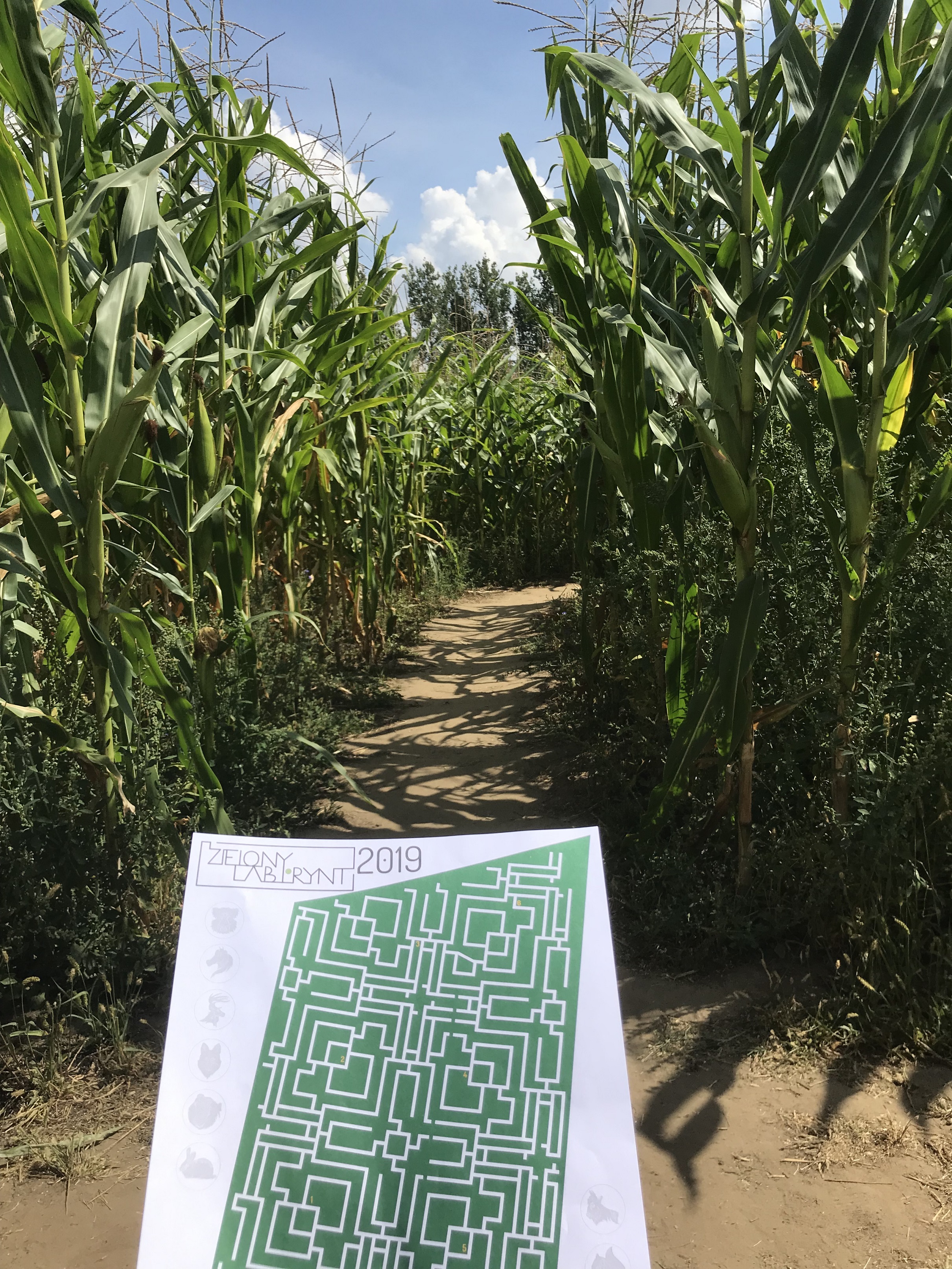 zielony labirynt w nieporęcie