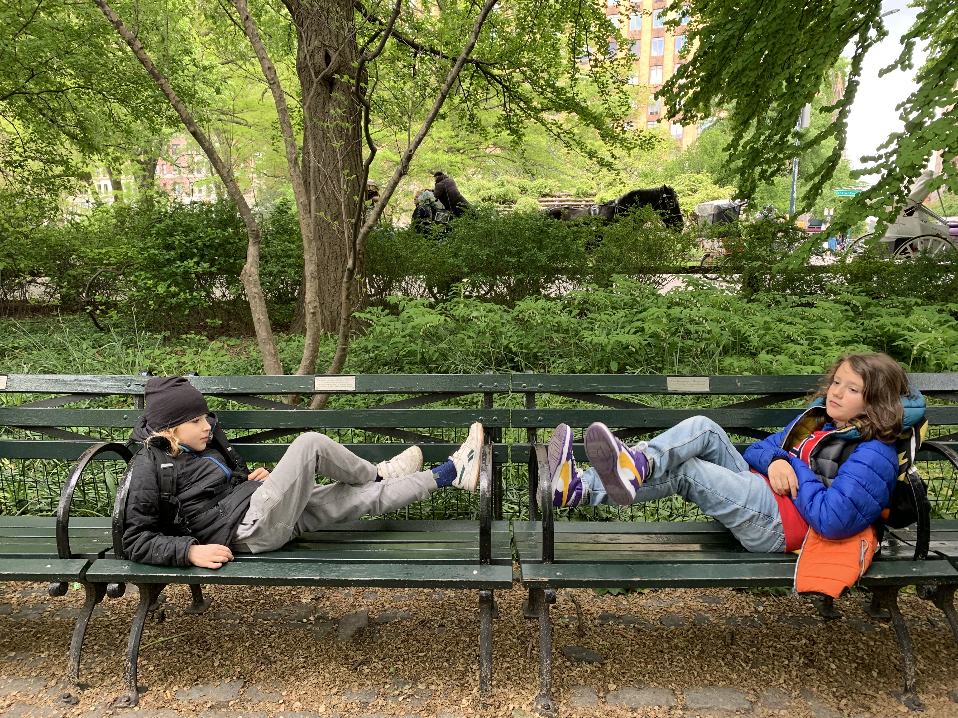 Central Park w Nowym Jorku