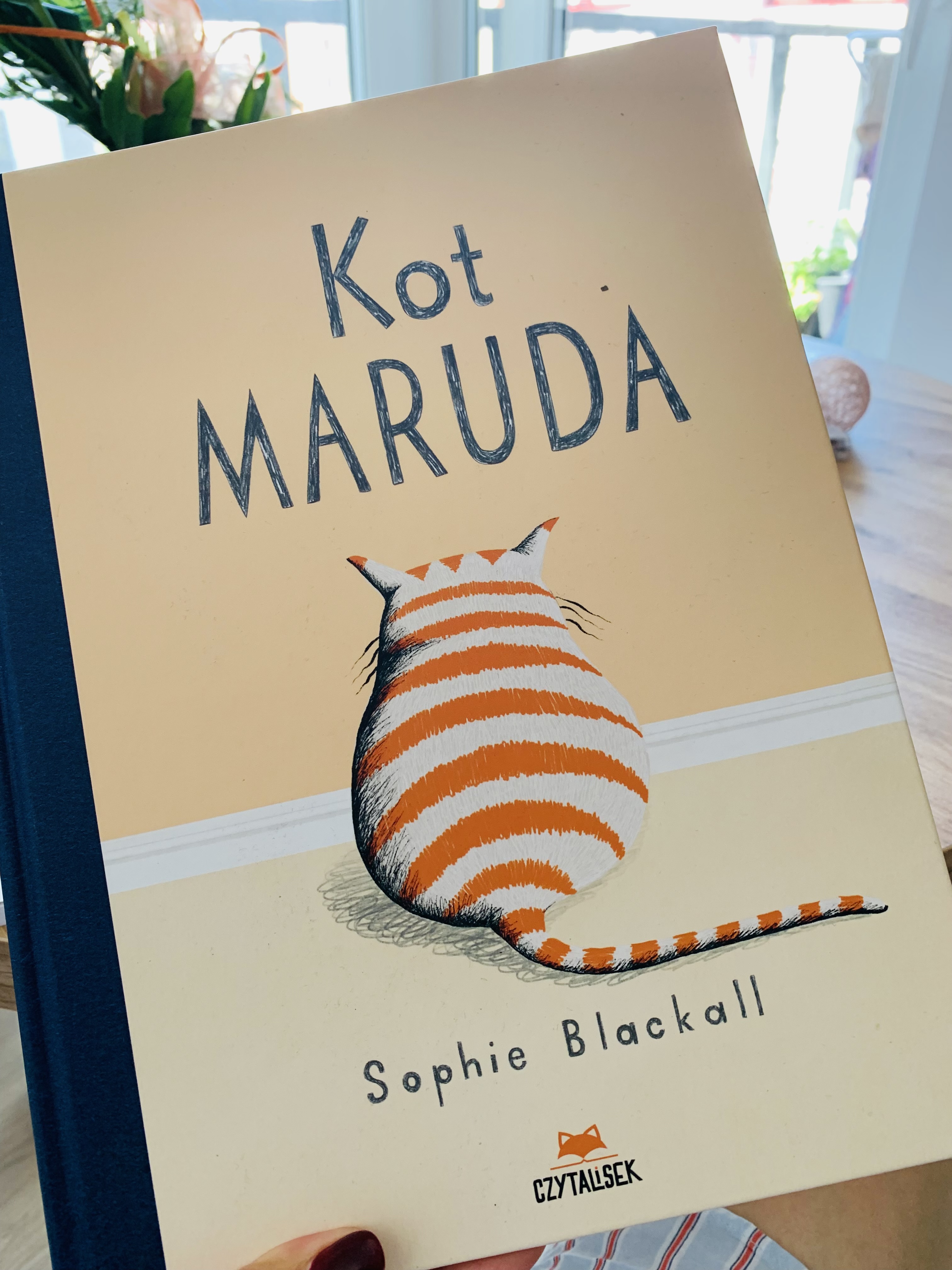 kot maruda recenzja książki