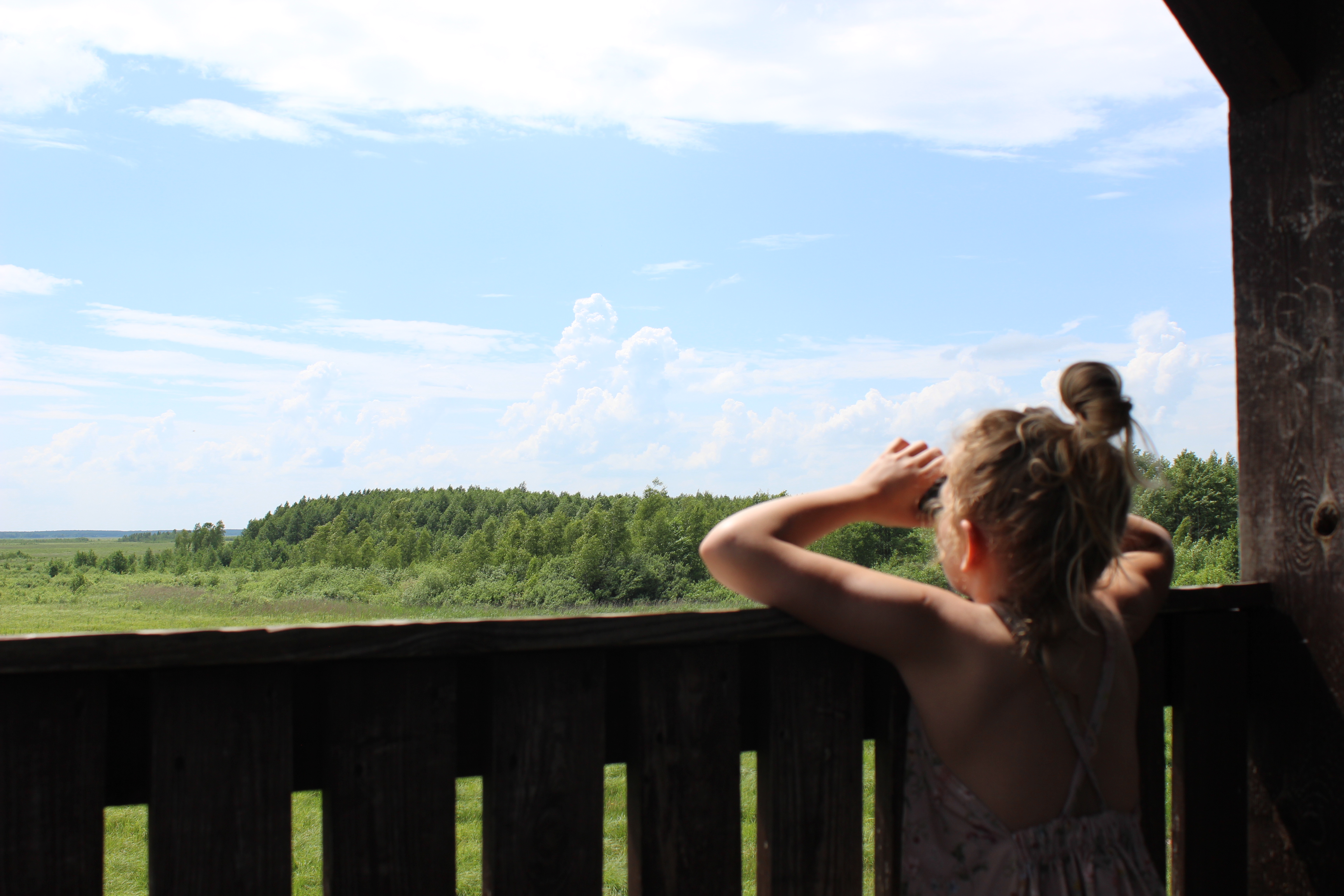 biebrza atrakcje dla rodzin z dziecmi