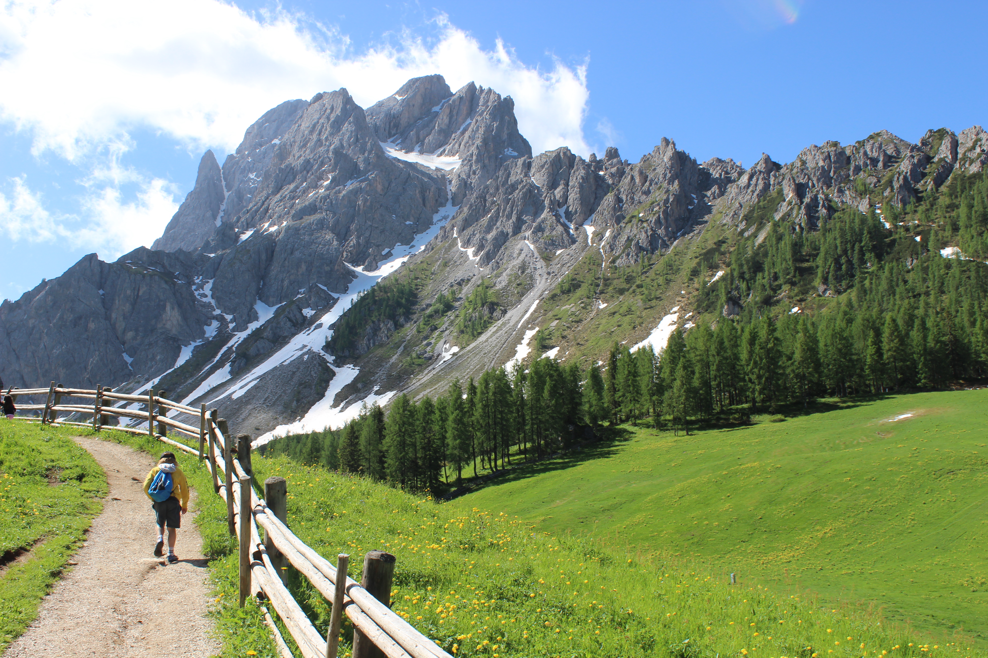 Prati di Croda Rossa