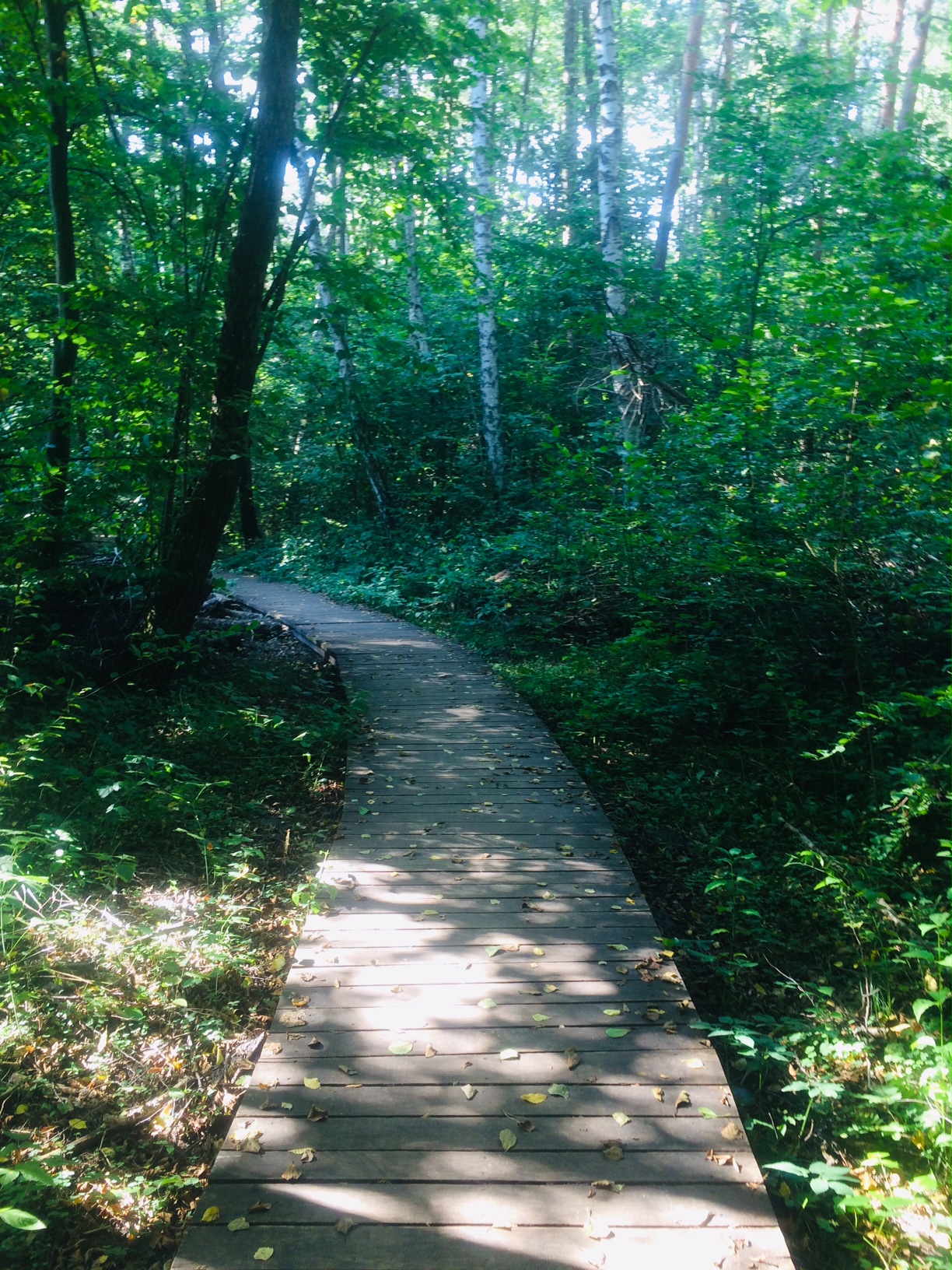 poleski park narodowy