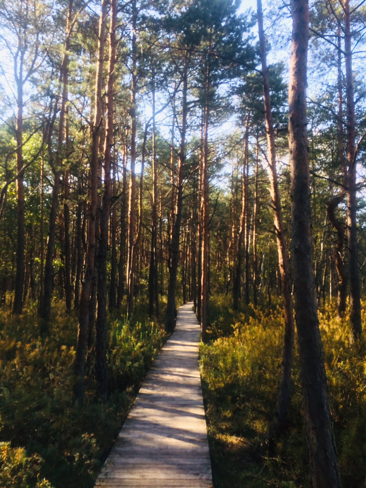 poleski park narodowy co zobaczyc