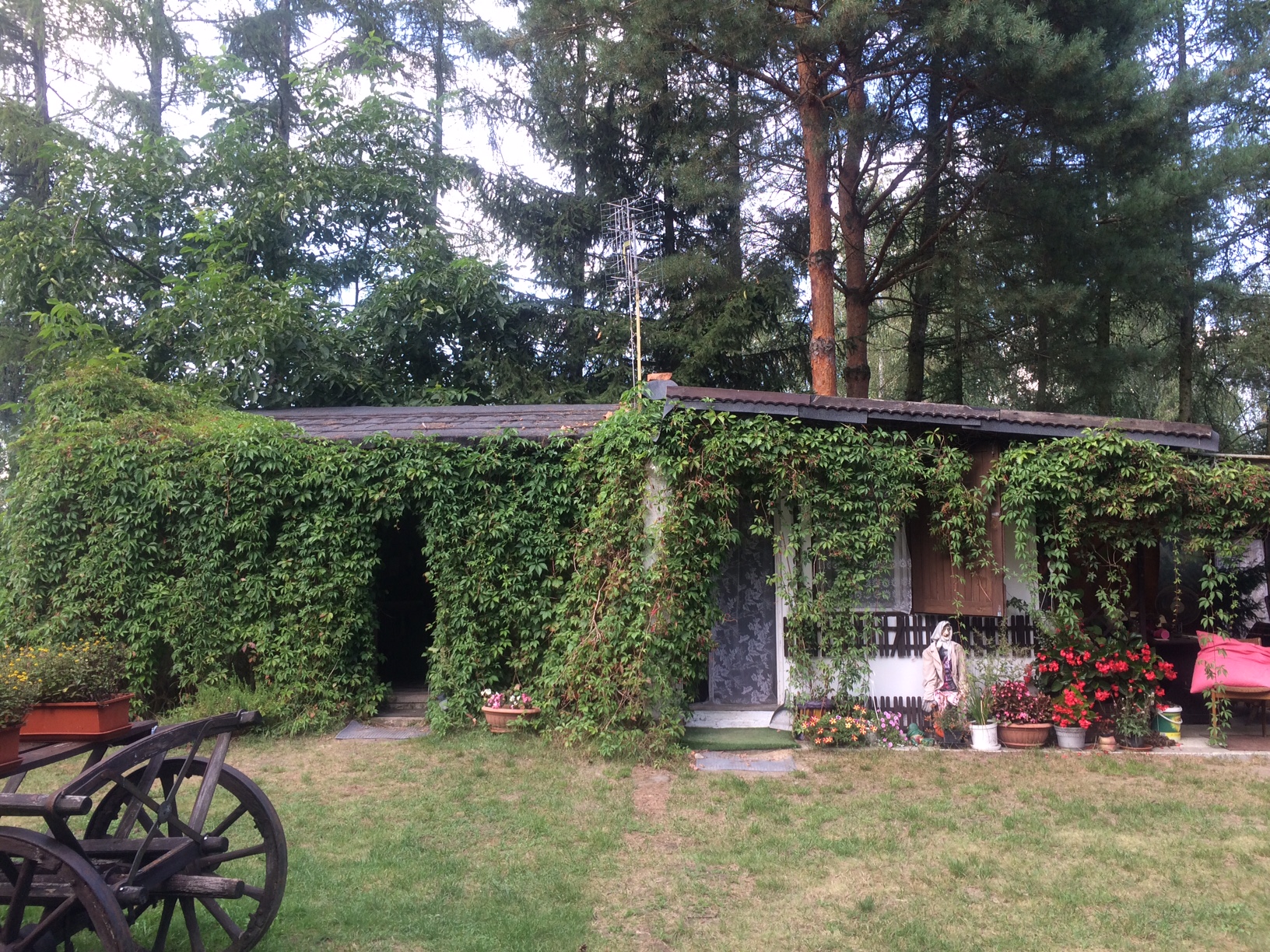 kamping kolonia orzechow poleski park narodowy