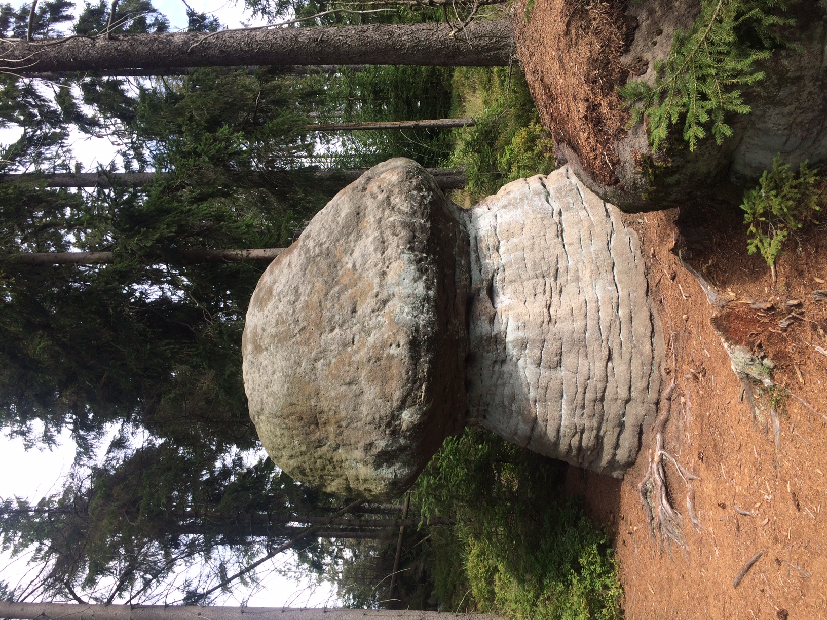 skalne grzyby góry stołowe