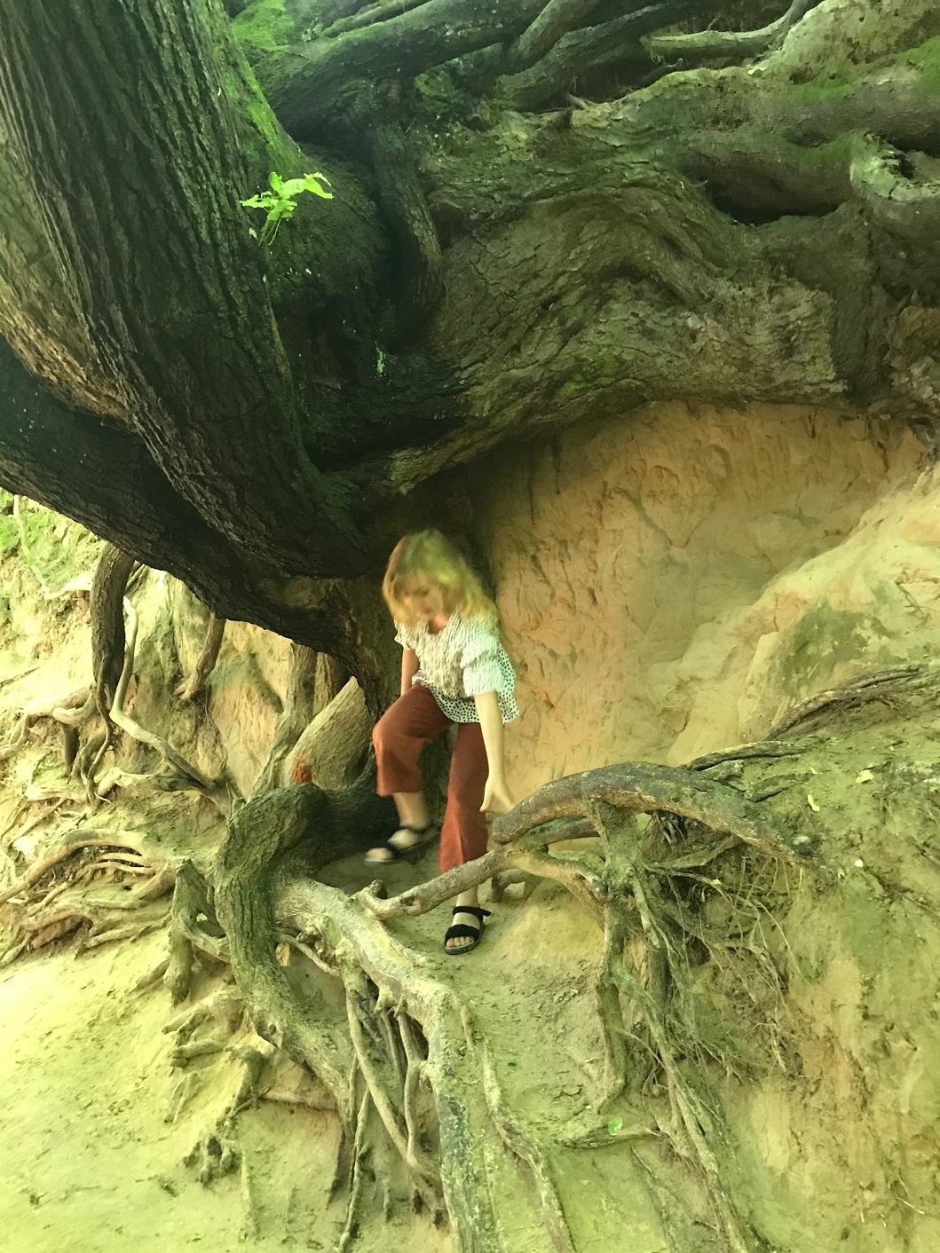 atrakcje kazimierz dolny