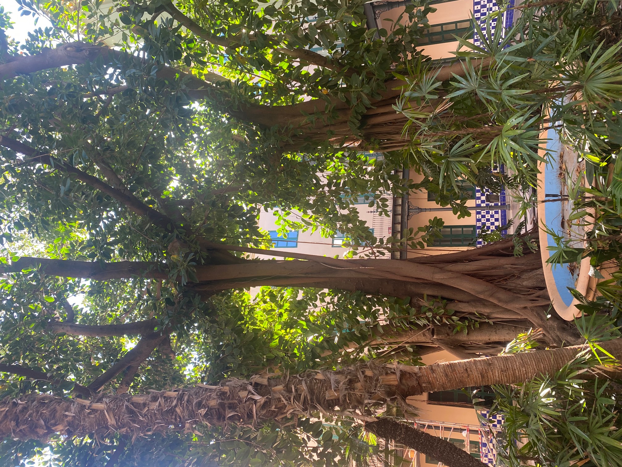 Muzeum Historii Walencji