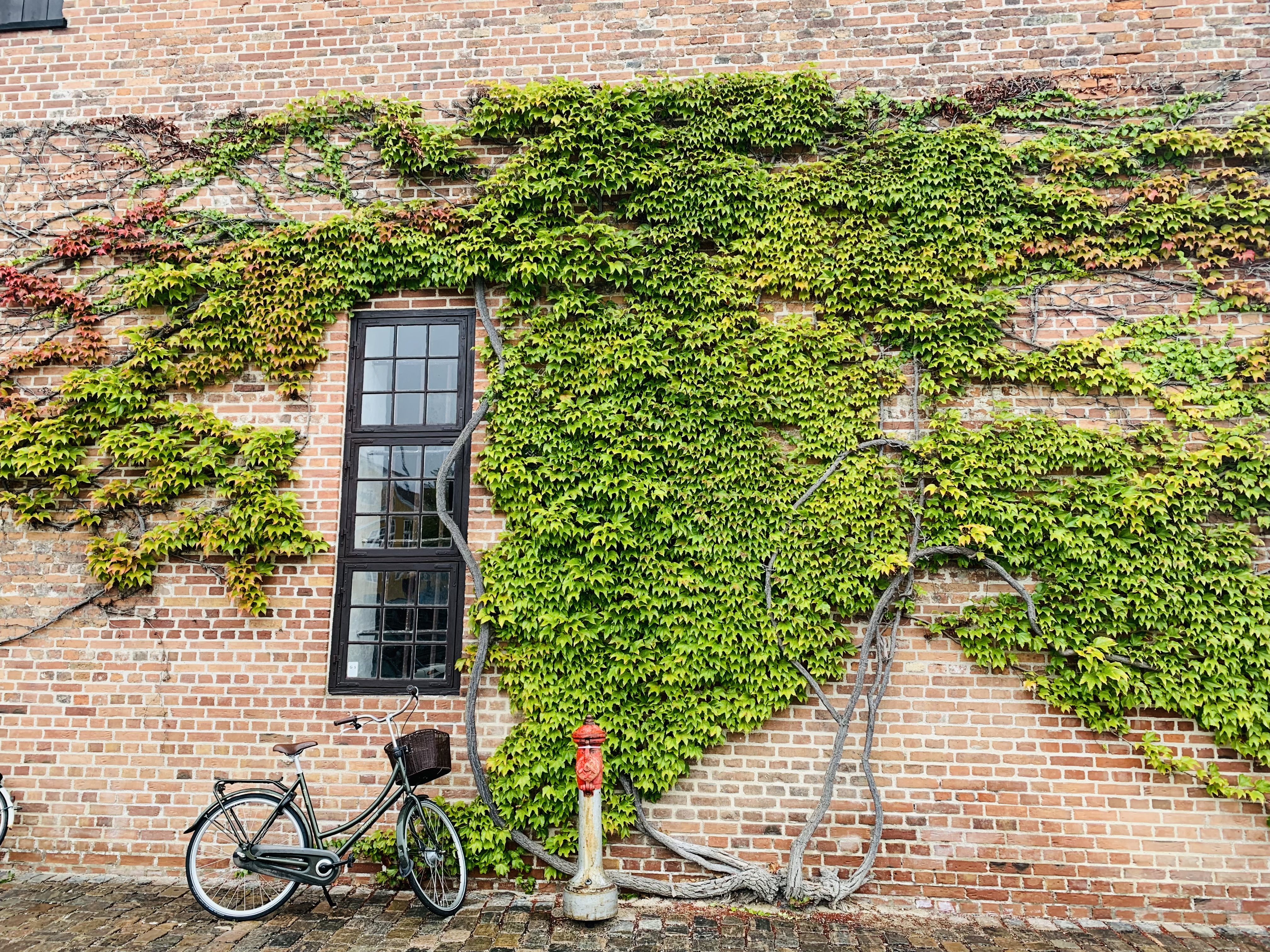Kopenhaga miasto rowerów!