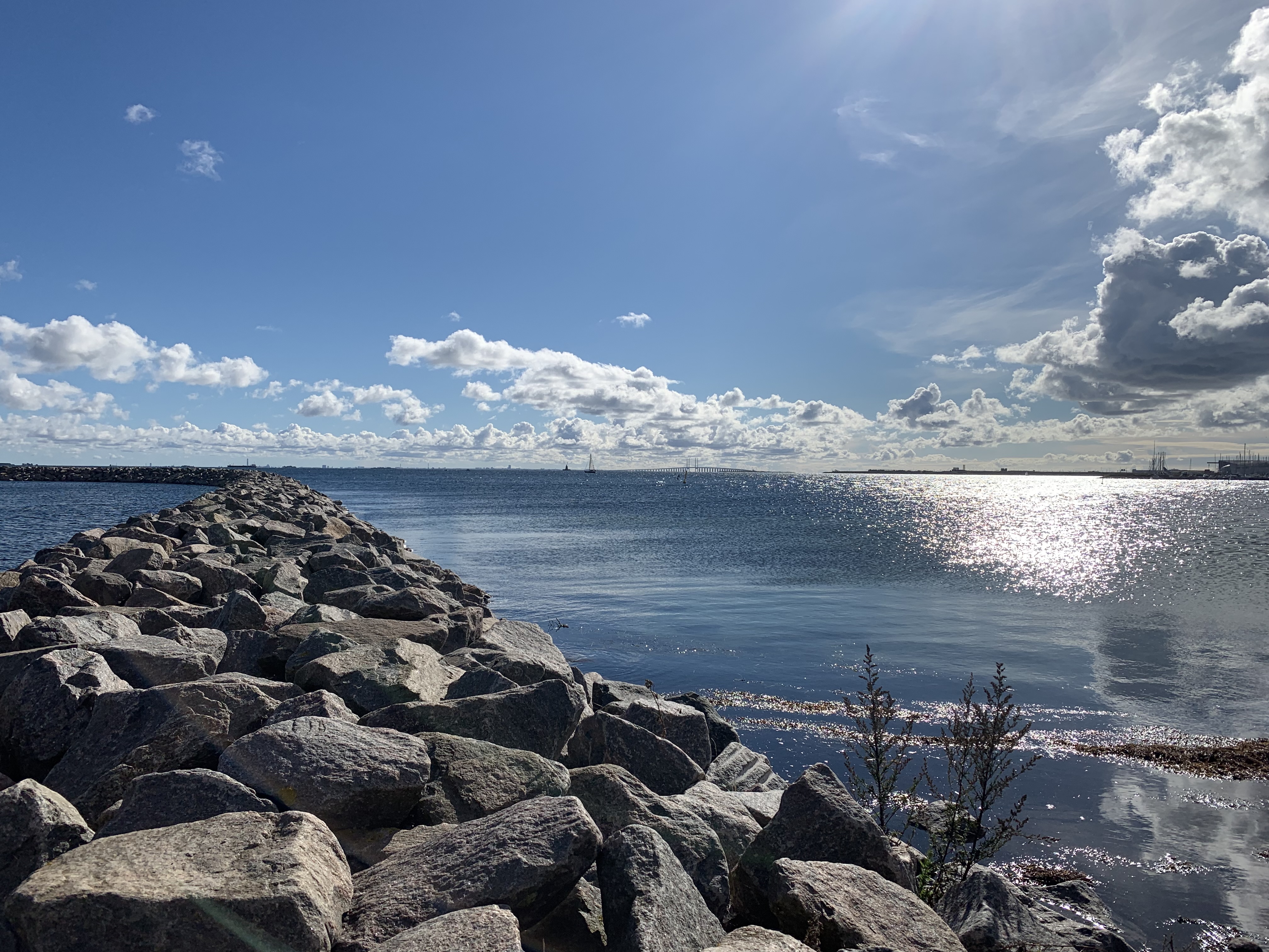 plaża Amager Kopenhaga