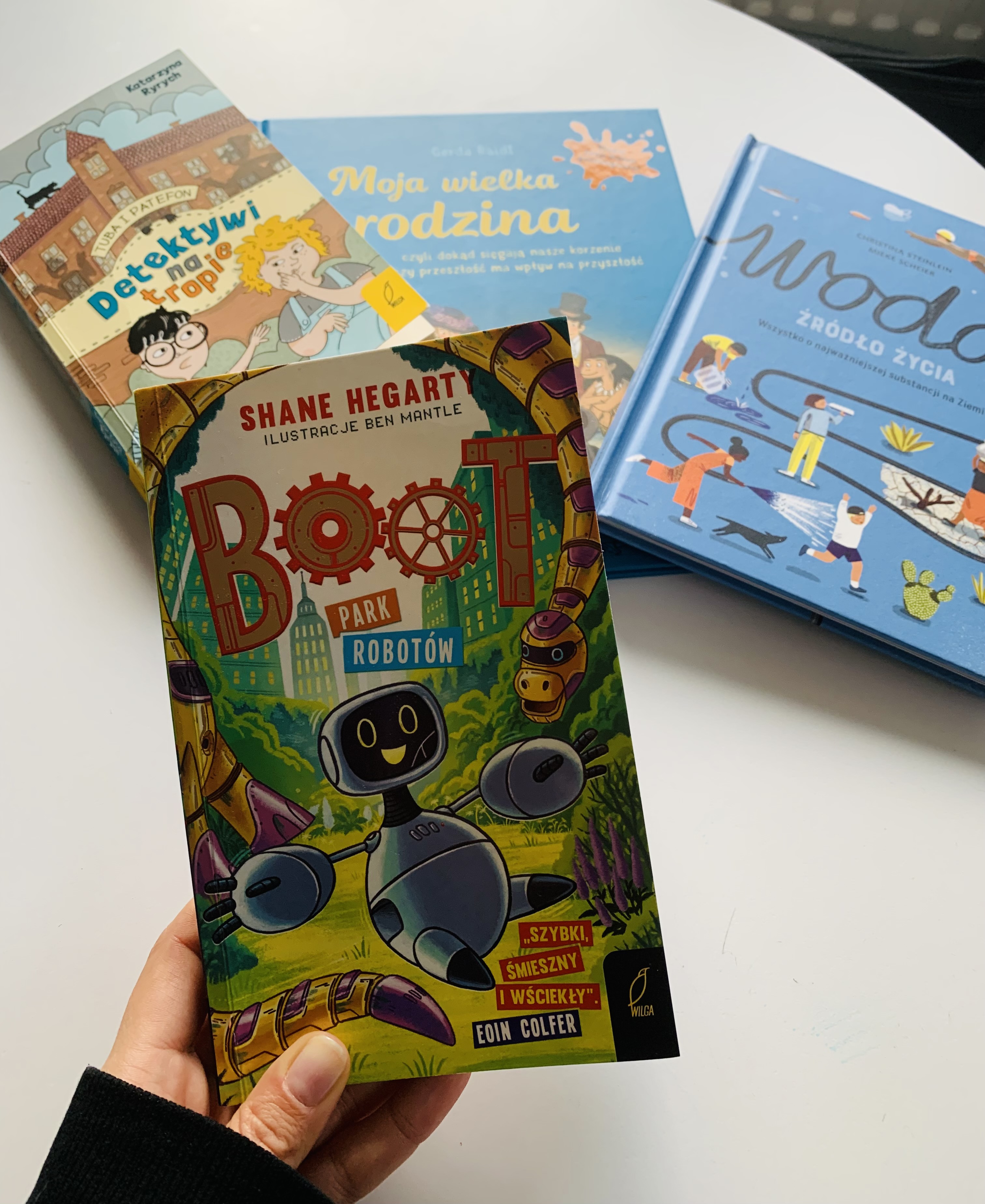 boot.park robotow. recenzja