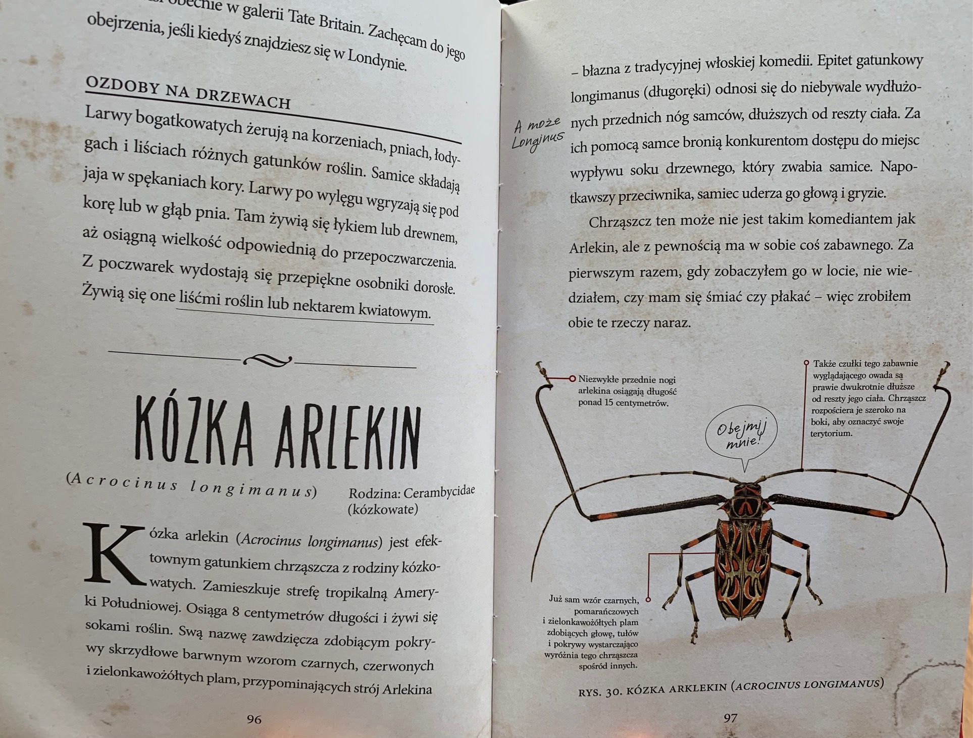 przewodnik milosnikow chrzaszczy