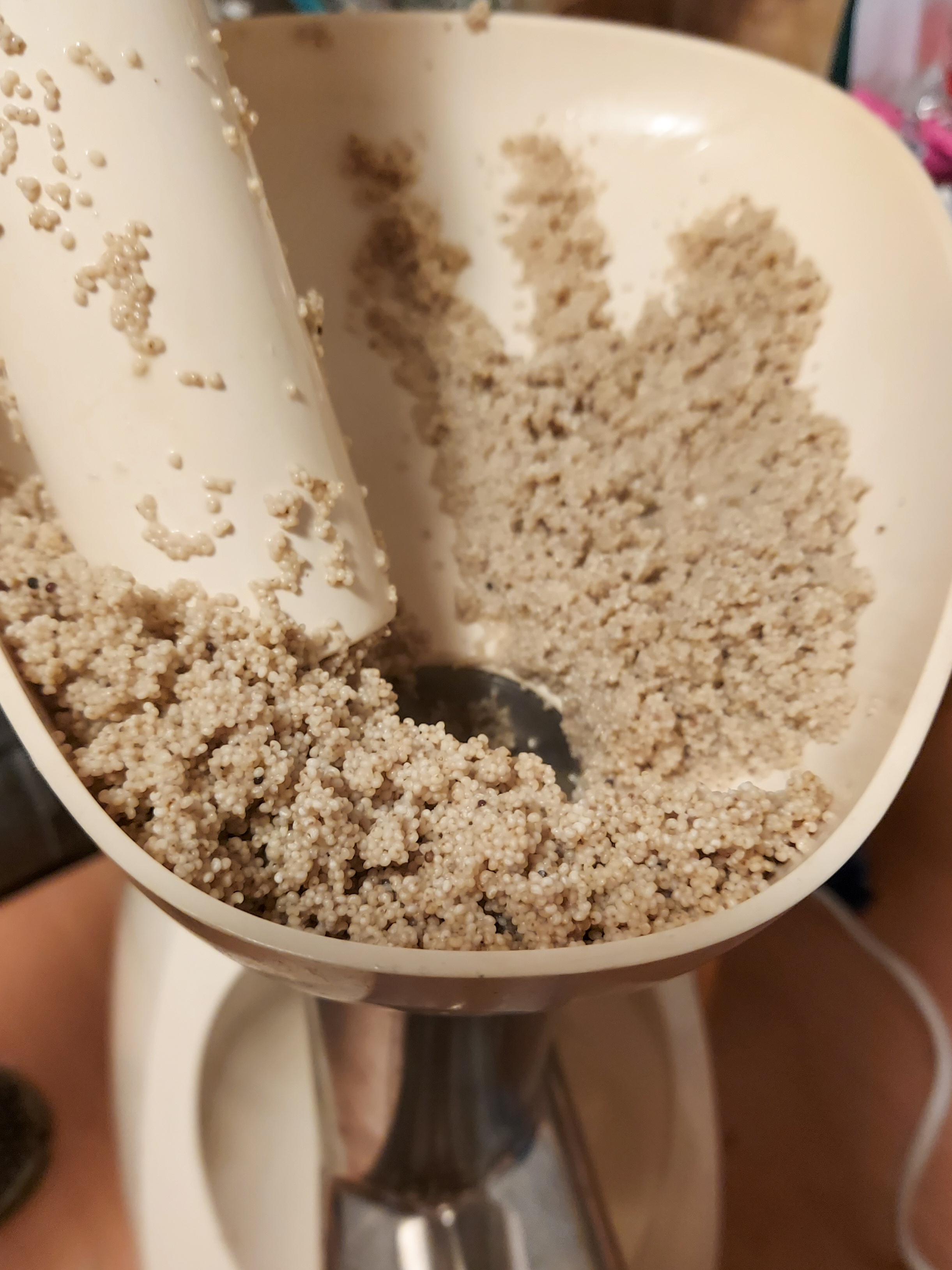 rogale swietomarcinskie przygotowanie