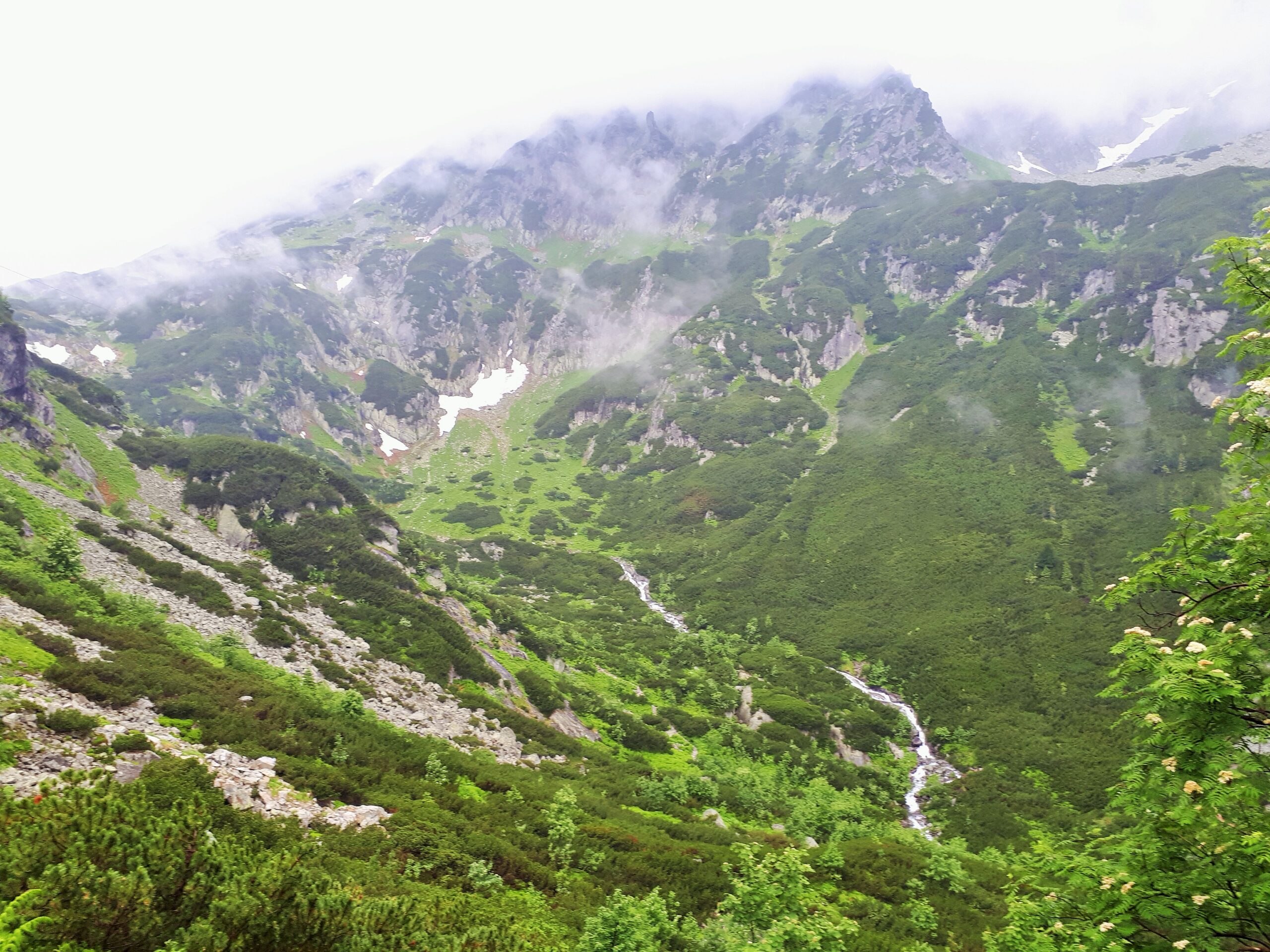 widok na potok roztoka