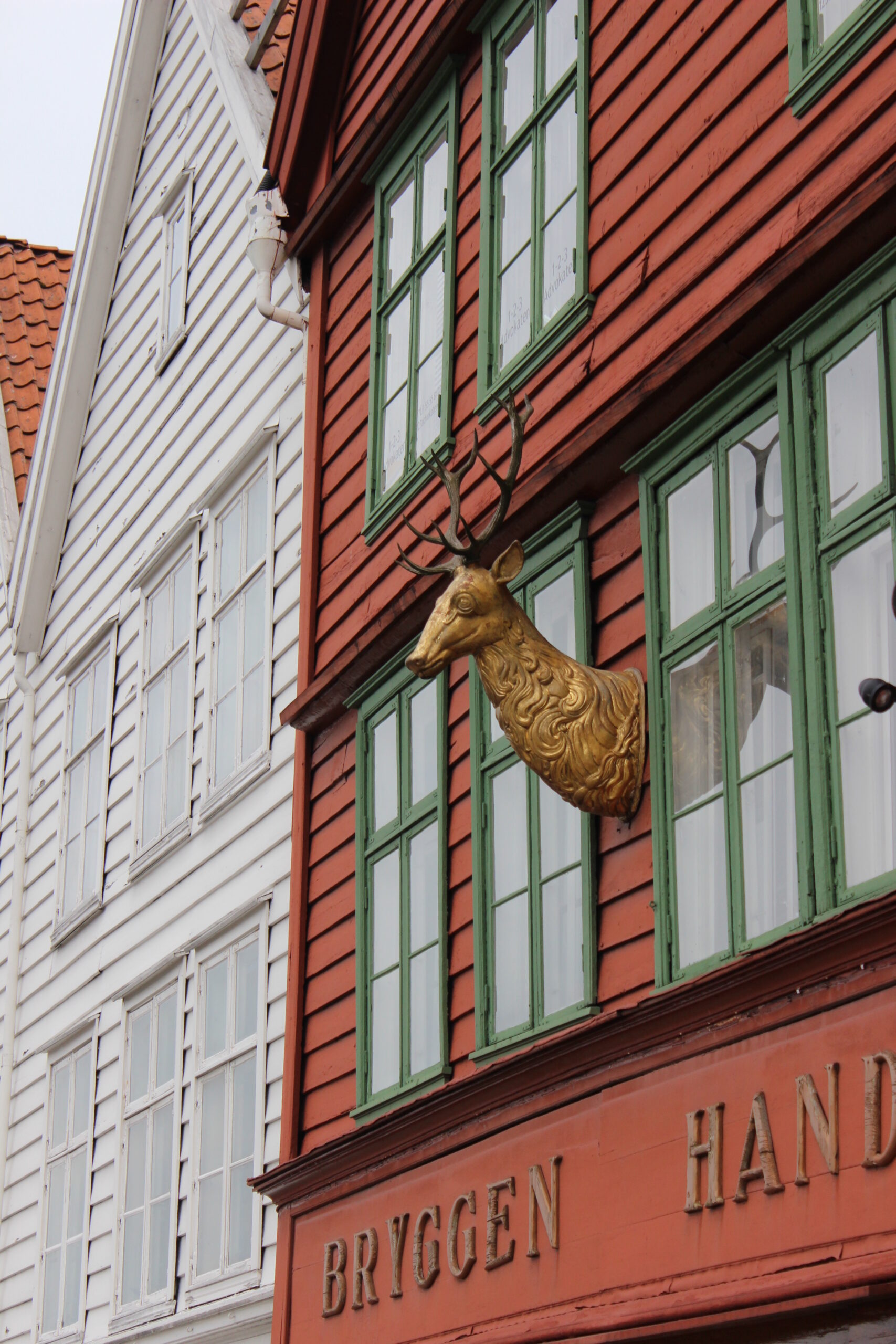 Bergen z dziećmi