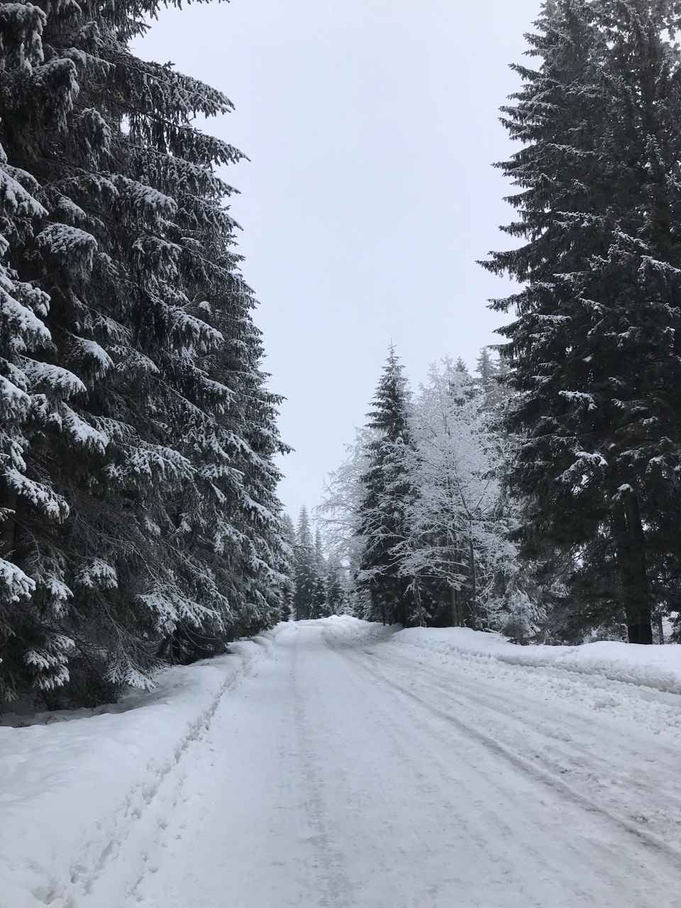 trasa na morskie oko zima