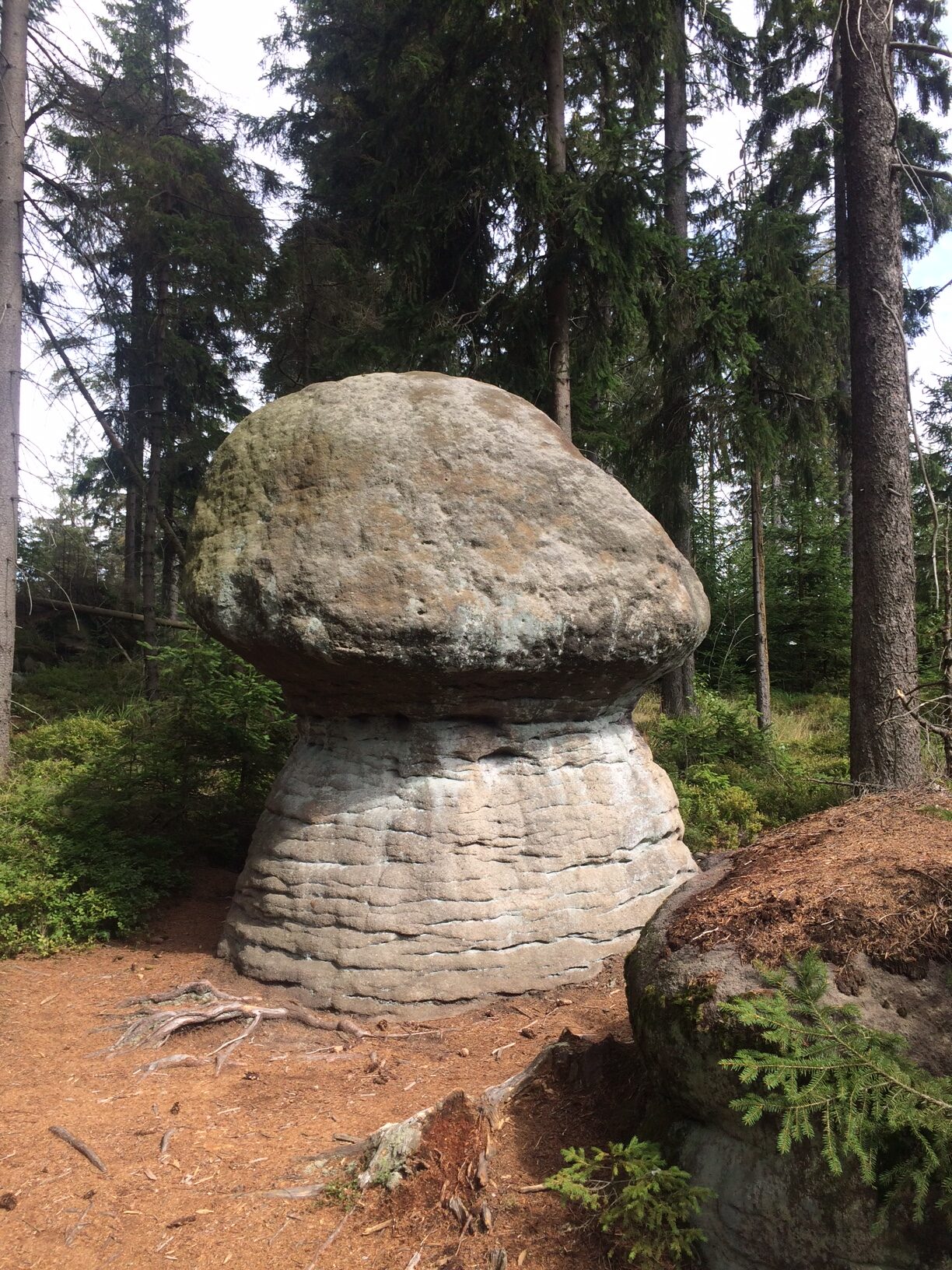 skalne grzyby góry stołowe