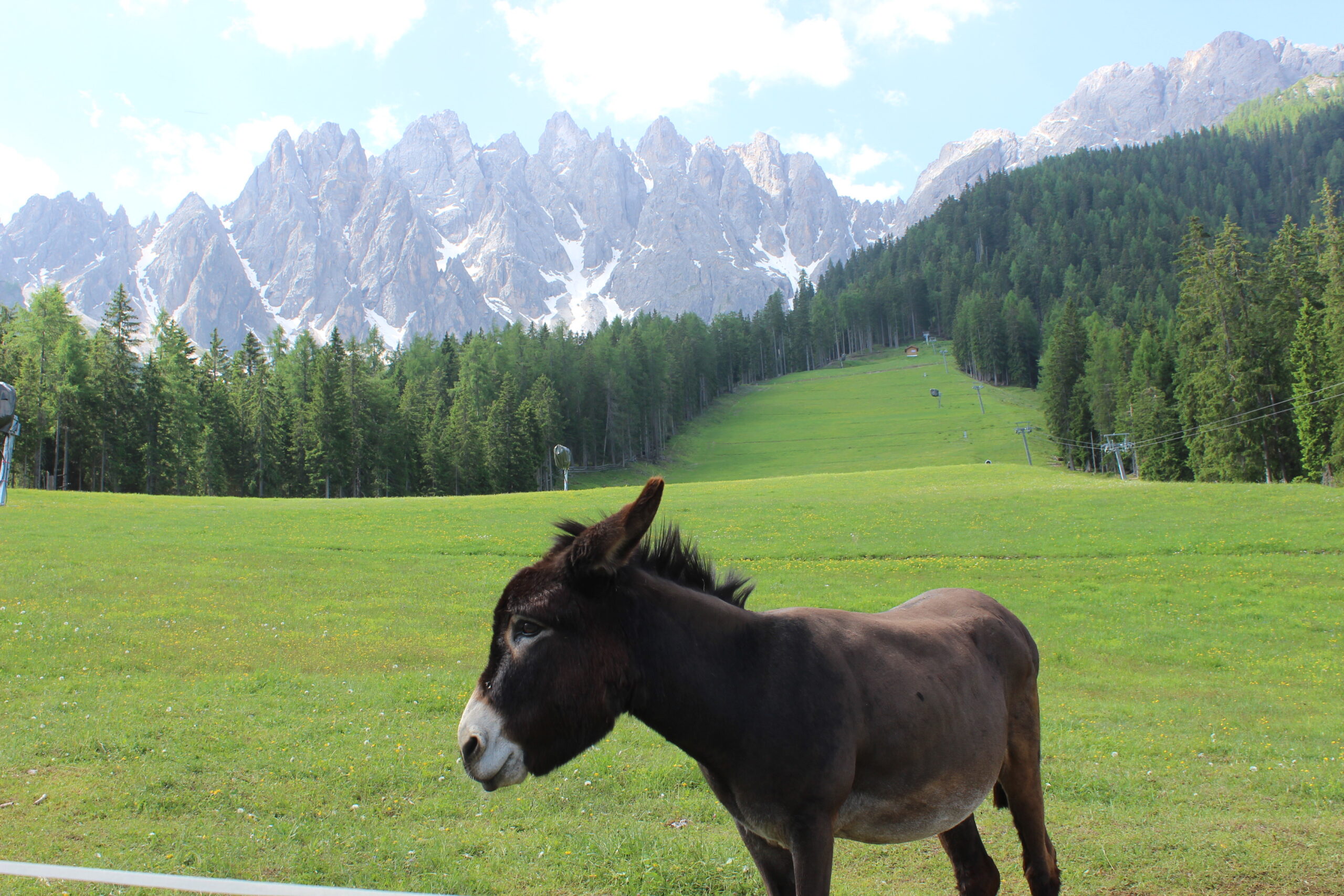 dolomity