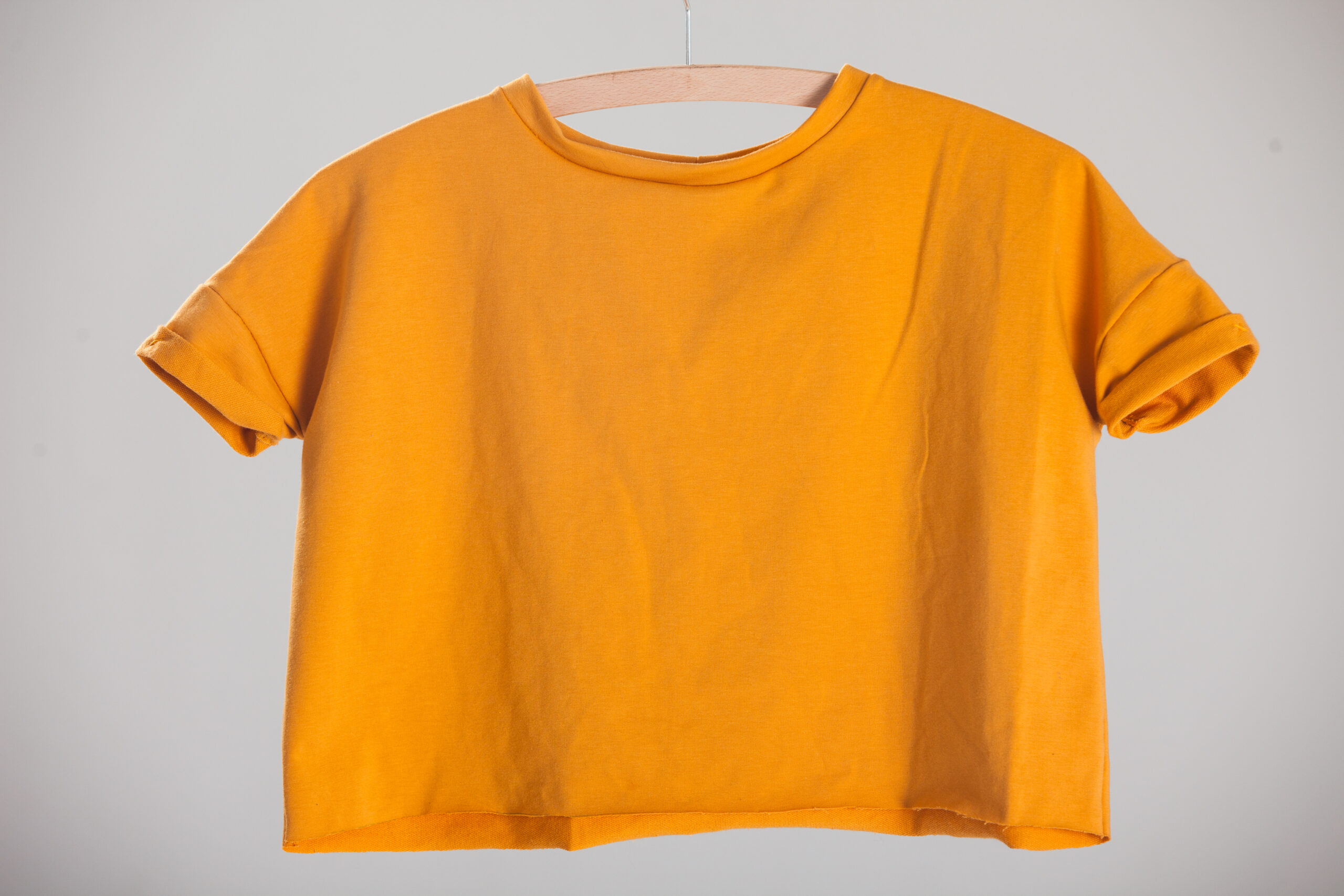 Bluza "Sow-thistle"